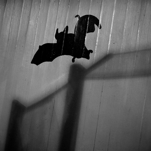 Illustration of bat in Berlin Zoo